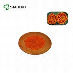 Marigold Flower Extract powder zeaxanthin