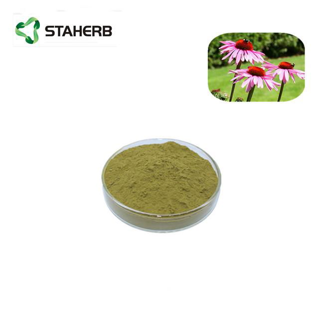 紫錐菊提取物菊苣酸2% Echinacea Purpurea Extract Cichoric acid 2%