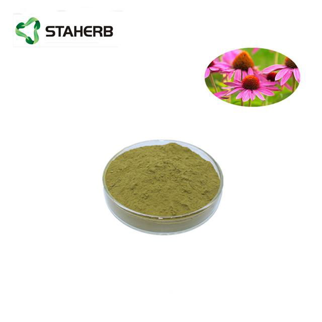 紫錐菊提取物菊苣酸2% Echinacea Purpurea Extract Cichoric acid 2% 2