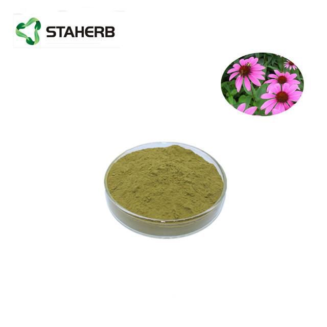 紫錐菊提取物菊苣酸2% Echinacea Purpurea Extract Cichoric acid 2% 3