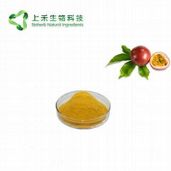 百香果粉 passion fruit powder 