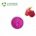 dragon fruit powder