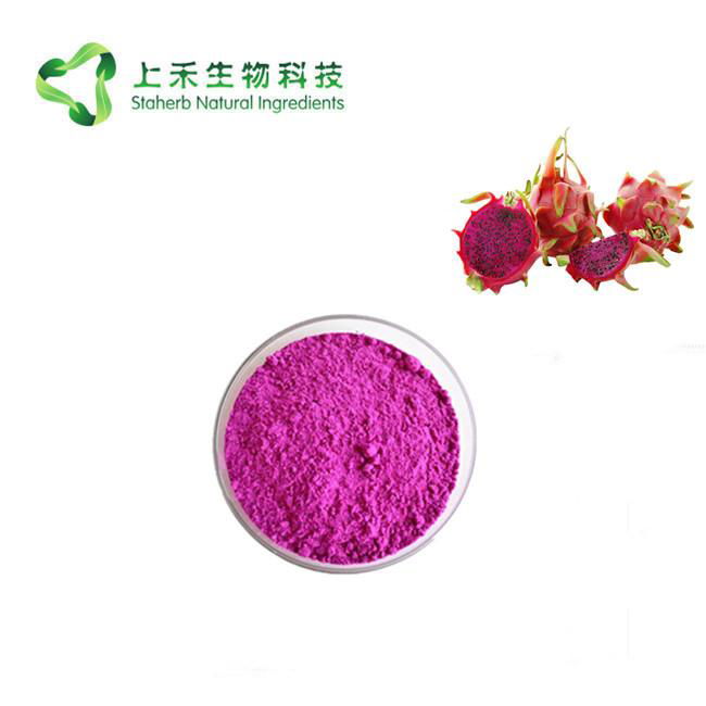 dragon fruit powder 3