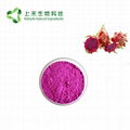 dragon fruit powder