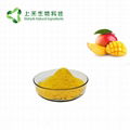 mango fruit powder