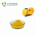 mango fruit powder 2