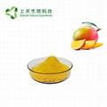 mango fruit powder 3