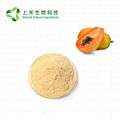 papaya fruit powder