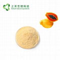papaya fruit powder