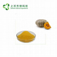 Pumpkin fruit powder juice powder