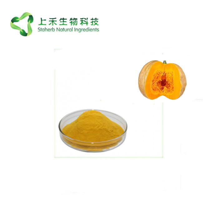 Pumpkin fruit powder juice powder 2