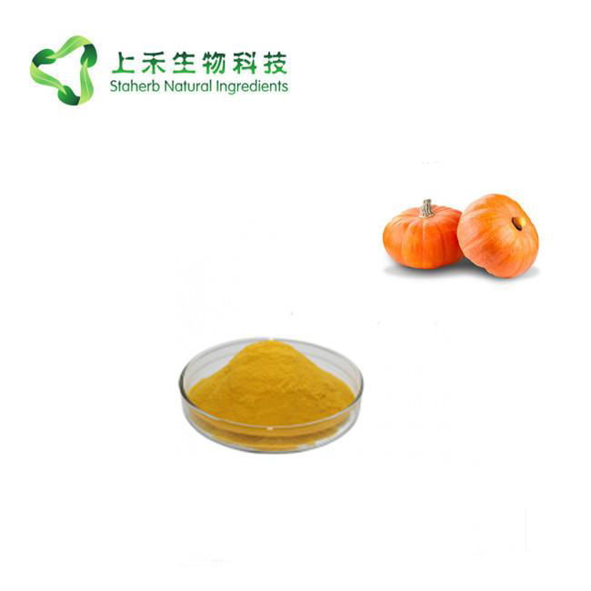 Pumpkin fruit powder juice powder 3