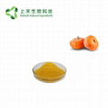 Pumpkin fruit powder juice powder