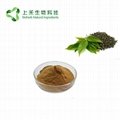 black tea extract  polypenols