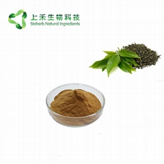 black tea extract  polypenols