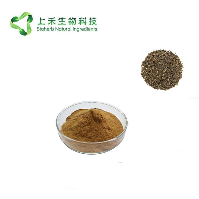black tea extract  polypenols 2