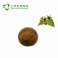 Belladonna extract