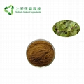 Belladonna extract 2