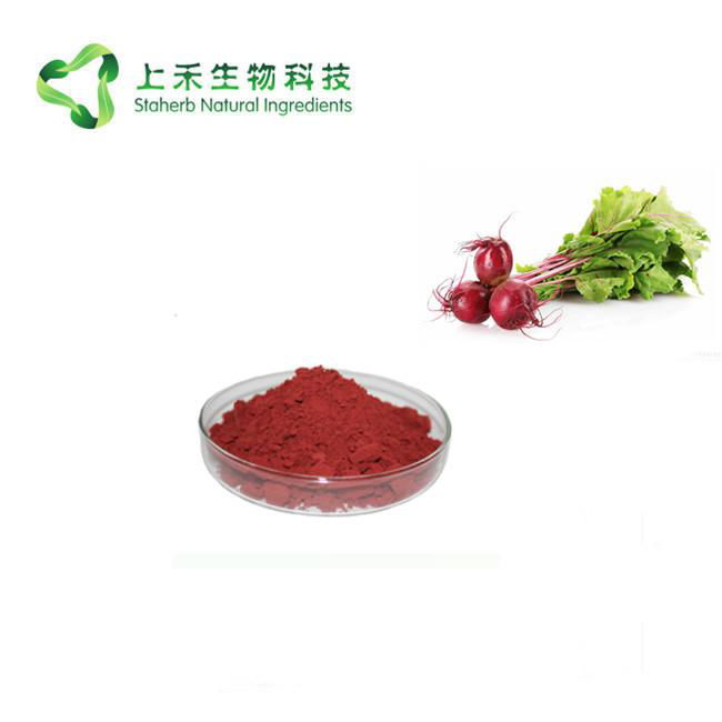 Red Beetroot Juice Powder beetroot extract 2