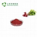 Red Beetroot Juice Powder beetroot extract
