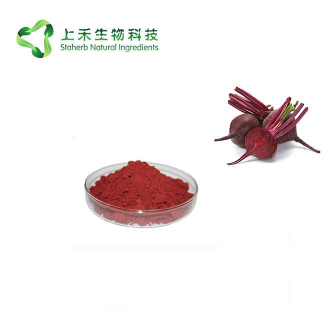 Red Beetroot Juice Powder beetroot extract 3