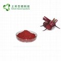 Red Beetroot Juice Powder beetroot extract