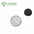 black sesame seed extract Sesamin powder 3
