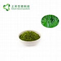 barley grass juice powder