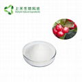 bearberry extract Alpha Arbutin Powder 99% for cosmetics