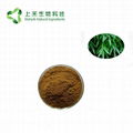 bamboo leaf extract bamboo Flavone
