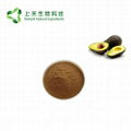 avocado extract alligator pear extract powder 2