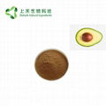 avocado extract alligator pear extract powder 3