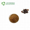 black fungus extract polysaccharides