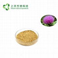 milk thistle seed extract 