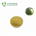 Natural artichoke extract Cynarin powder