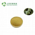Natural artichoke extract Cynarin powder