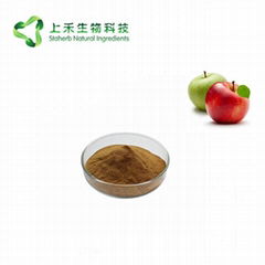 apple extract apple polypenols