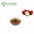 apple extract apple polypenols