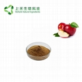 apple extract apple polypenols