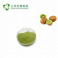 kiwi fruit juice powder 1