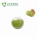 kiwi fruit juice powder