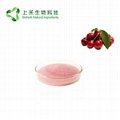 Acerola cherry Extract Vitamin C