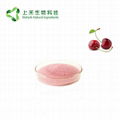 Acerola cherry Extract Vitamin C