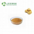 lion's mane mushroom extract 30% polysaccharide 2