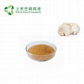 lion's mane mushroom extract 30% polysaccharide 3