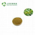 gymnema sylvestne extract Gymnemic Acid