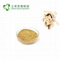 Astragalus root extract polysaccharide 30% 3