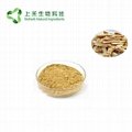 astragalus root extract astragalus IV