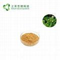 Great Burdock Achene Extract 3