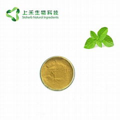 Gynostemma Pentaphyllum Extract 98% Gypenosides